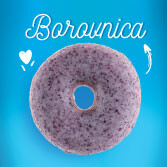 Borovnica