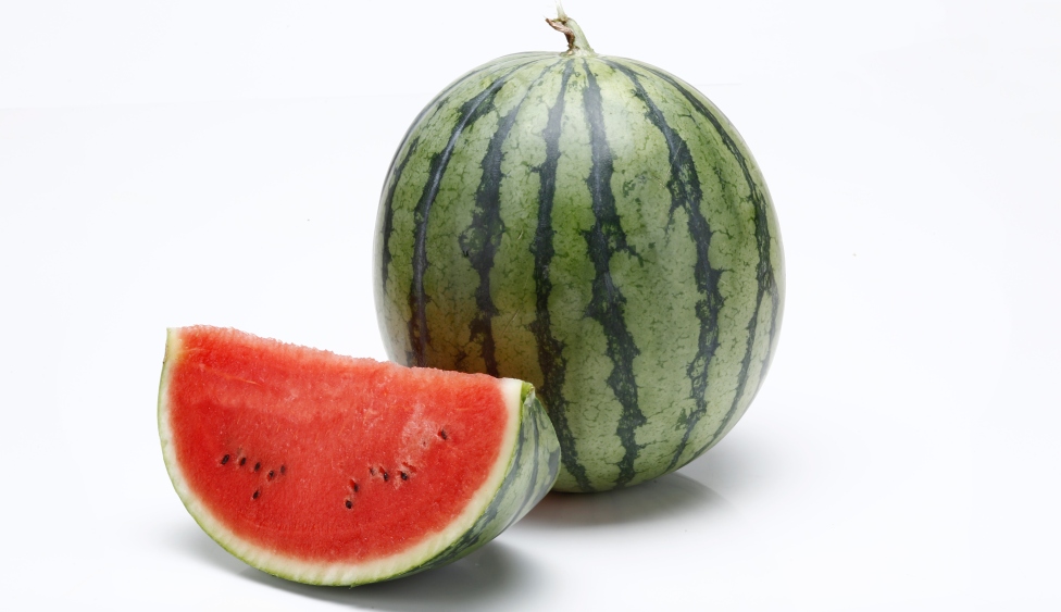 fotografija - Pepita rasecena lubenica - in text