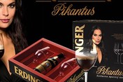 Erdinger za dame u našim objektima