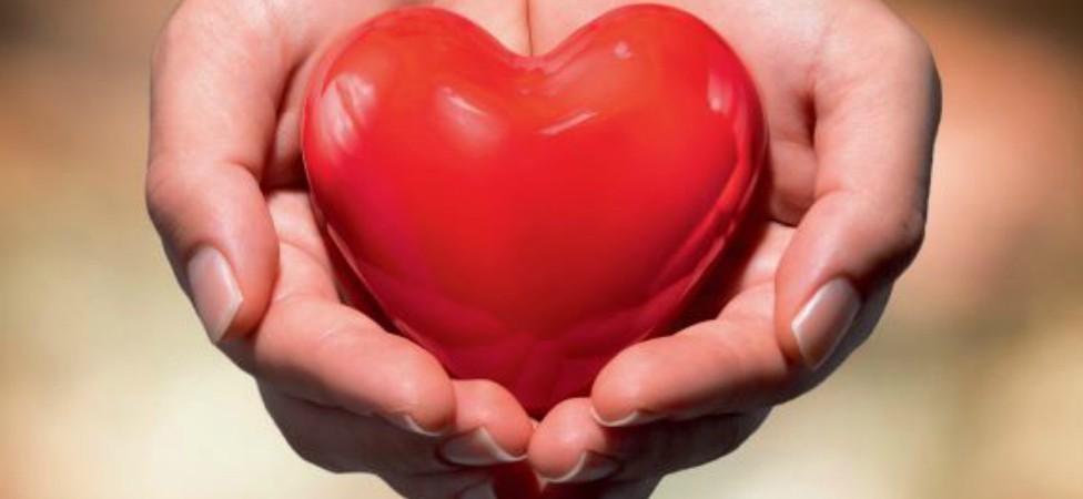 FONDACIJA SOLIDARNOSTI - TIM HUMANIH