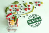 IDEA Organic na IDEA online!