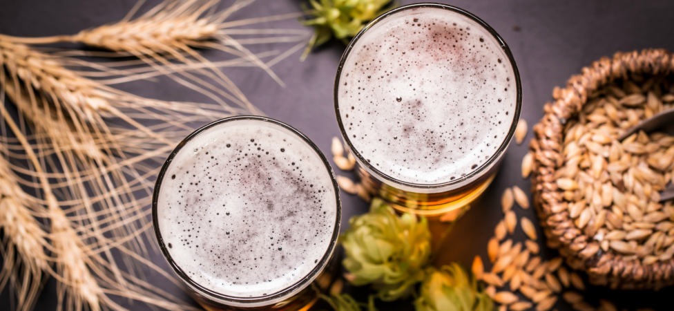 Pivski festival kroz svet Paulanera