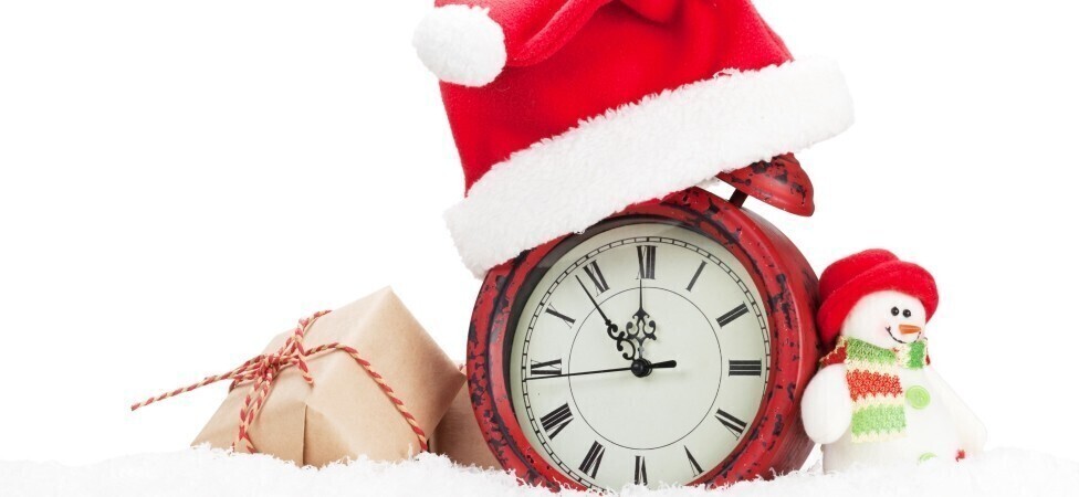 Radno vreme u prazničnom periodu