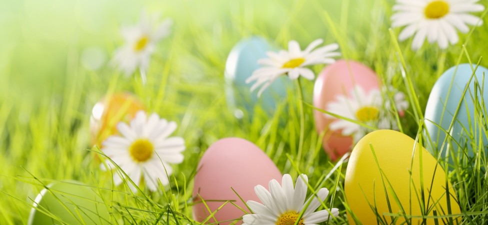 IDEA online prodavnica dostupna i za vreme praznika